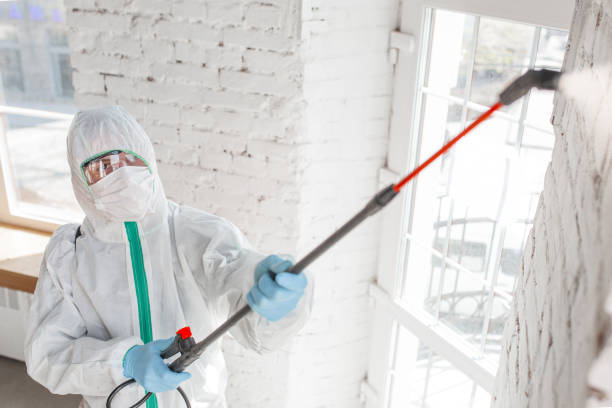 Forensic Mold Investigation in Cascade Locks, OR