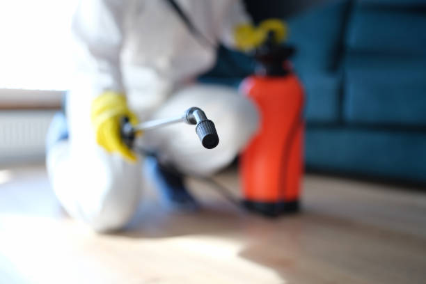 Best Mold Removal for HVAC Installations  in Cascade Locks, OR