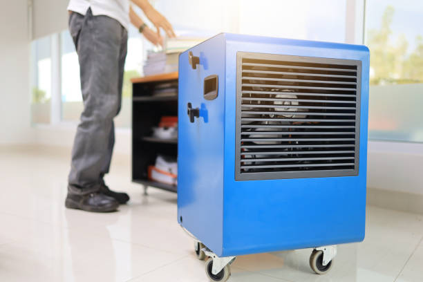 Best Attic Mold Removal  in Cascade Locks, OR