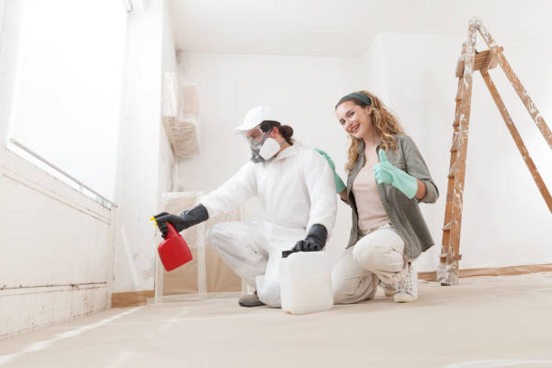 Best Black Mold Removal  in Cascade Locks, OR