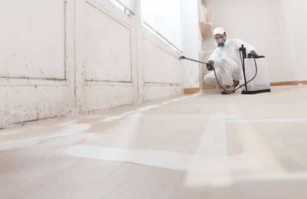 Mold Removal for HVAC Installations in Cascade Locks, OR