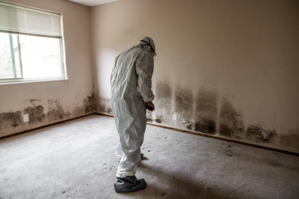 Best Industrial Mold Remediation  in Cascade Locks, OR